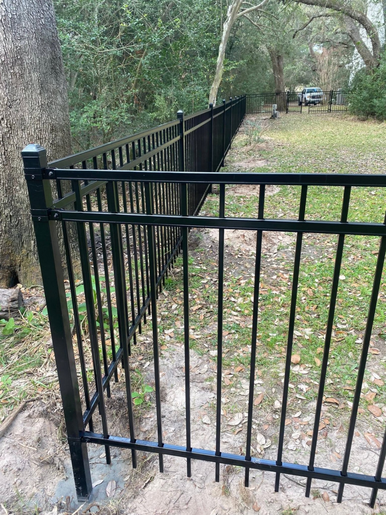 Long run of black aluminum fence with corner post under oak trees